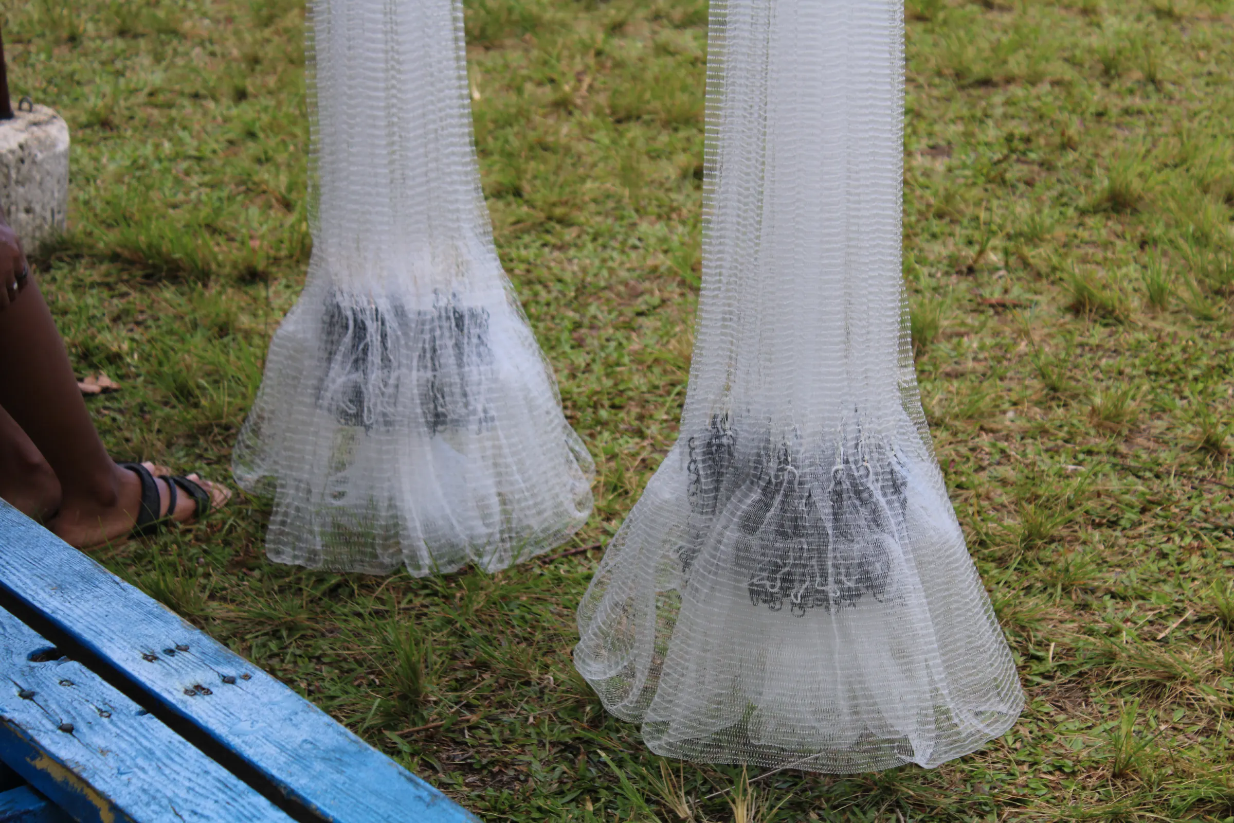 Two talåya nets standing on the grass beside a blue bench